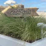 Hotel Oasis Village Eforie Nord Eforie Sud (Constanta)