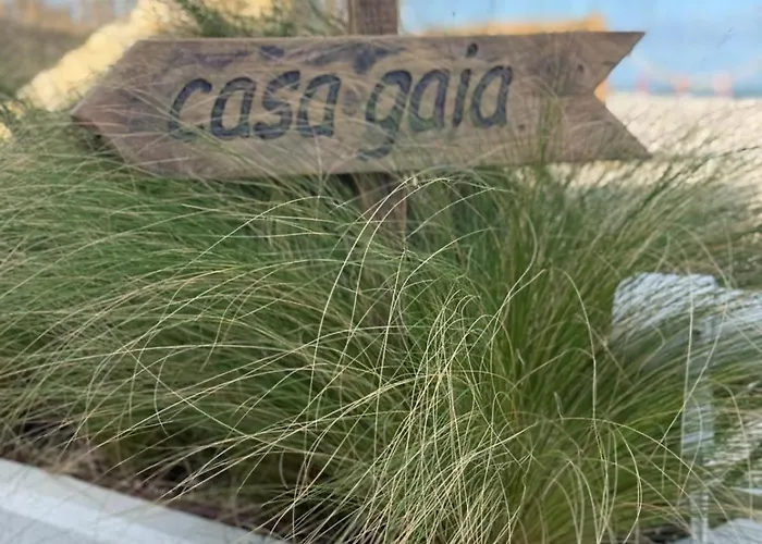 Hotel Oasis Village Eforie Nord Eforie Sud (Constanta)