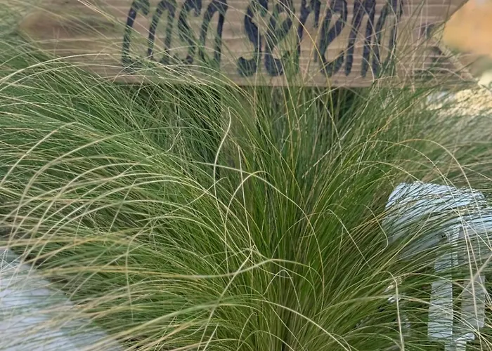 Hotel Oasis Village Eforie Nord Eforie Sud (Constanta)